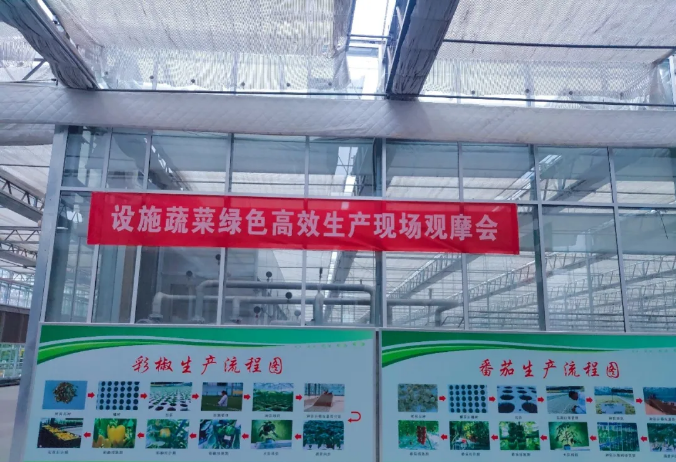 图片.png 图片.png