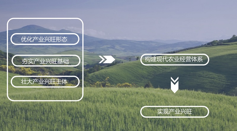 默认标题_官方公众号首图_2018.04.25 (1).jpg