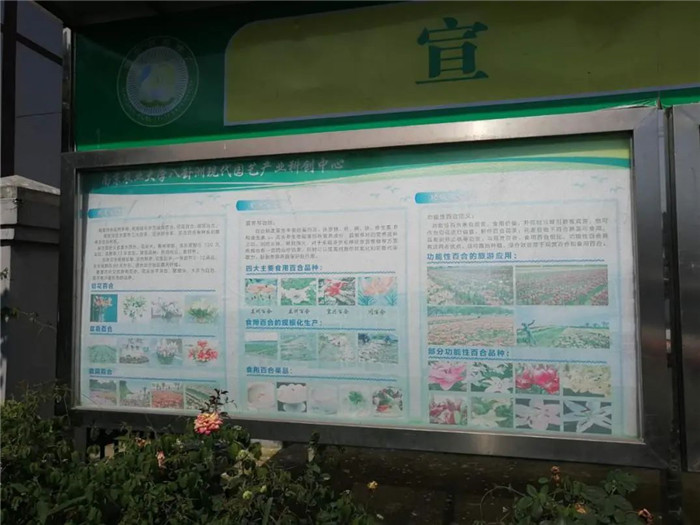 微信图片_20200820142301.jpg