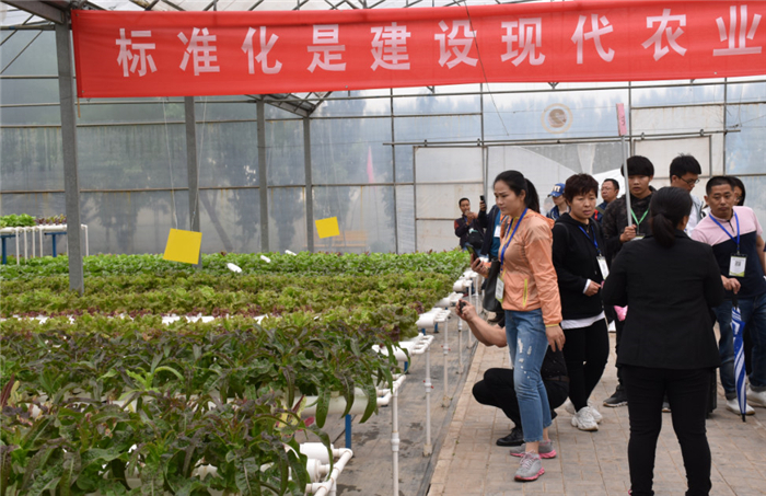 喜报！第九届北京（通州）国际都市农业科技节荣获“特色展示设计展会”称号(图5)