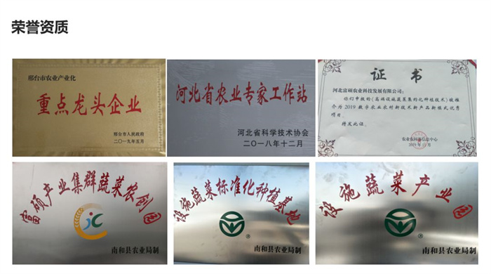 1-210630110304147.jpg